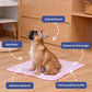 🌞New arrival 50% OFF! 💕50K+SOLD💕 🧊Cooling Pet Mat - Soft & Supportive Dog Bed Pad for Hot Weather -Chemical Free & Easy to Clean - Chill Mat for Large, Medium & Small Dogs and Cats