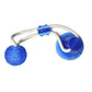 🔥Buy 1 Get 1 Free🔥💥EACH ONLY ￡5.49!!🚀Multifunction Pet Molar Bite Toy