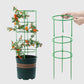 ✨Removable plant stand support stakes for plants and flowers and fruits