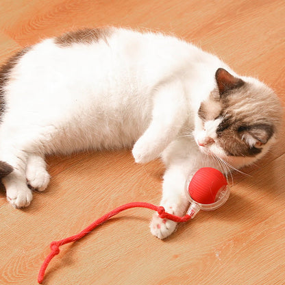 🐱🐶Automatic Smart Ball For Pets-UP TO 50% OFF🐱🐶