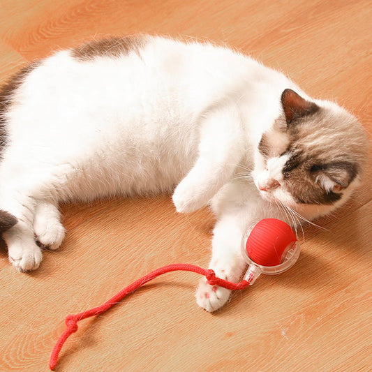 🐱🐶Automatic Smart Ball For Pets-UP TO 50% OFF🐱🐶