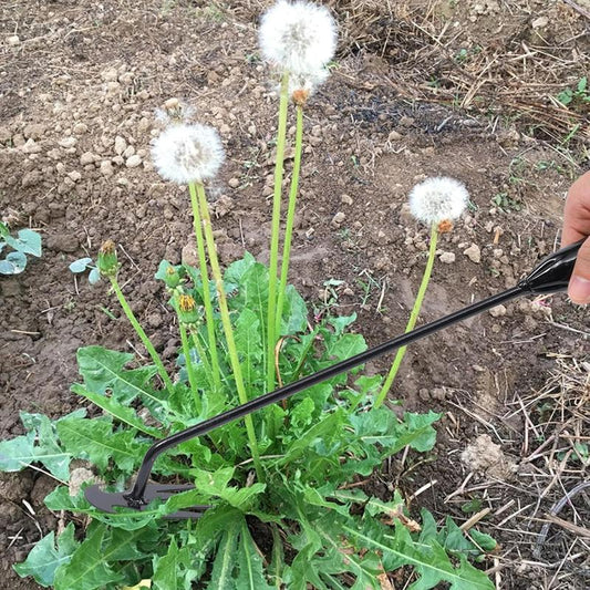 2025 Upgrade🏡Garden Weed Removal Tool Lifting And Weeding Tool