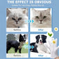 🔥Last Day Promotion 70% OFF🔥Pet Bathing Wipes for Dogs & Cats, Cleaning & Deodorizing Grooming Gloves