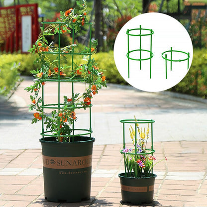 ✨Removable plant stand support stakes for plants and flowers and fruits
