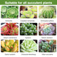 Bud Fertilizers for Succulent Plant