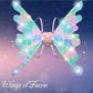 🧚‍♀️✨LED fairy wings