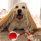 🐱🐶Automatic Smart Ball For Pets-UP TO 50% OFF🐱🐶