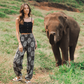 Aguadilla Harem Pants