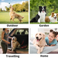 🌹Mother's Day Promotion 🎁Convenient Efficient Pet Wash-Free Wipes Gloves