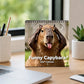 Funny Capybara Calendar 2027